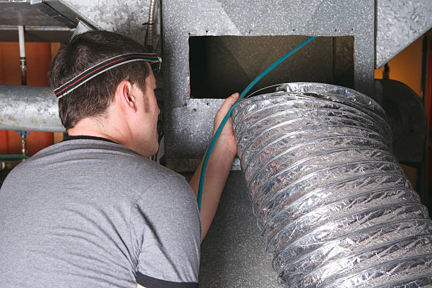 Best Air Duct Sanitizing Services  in Johnson Creek, WI