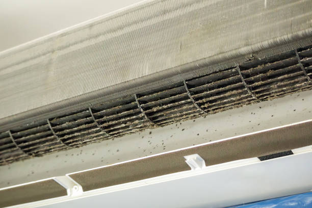 Best Best Air Duct Cleaning Company  in Johnson Creek, WI